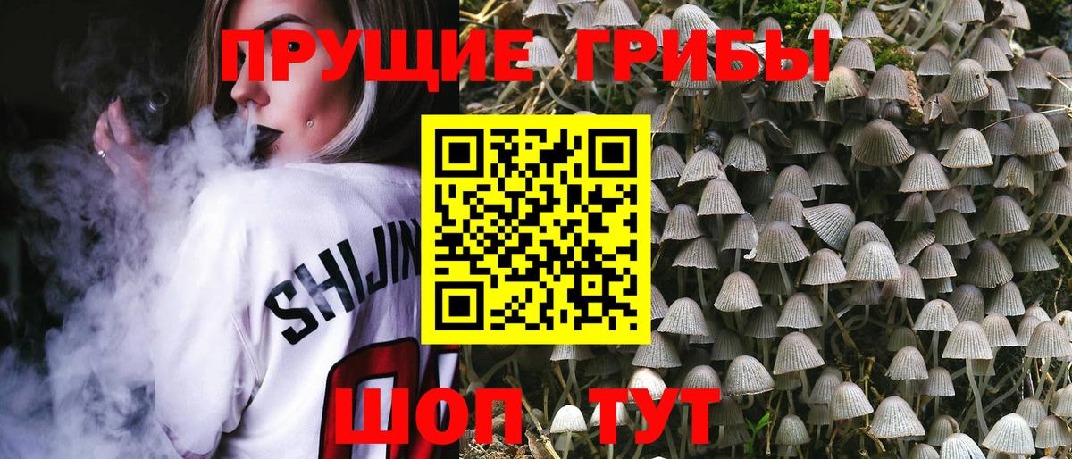 Псилоцибиновые грибы прущие грибы Чапаевск